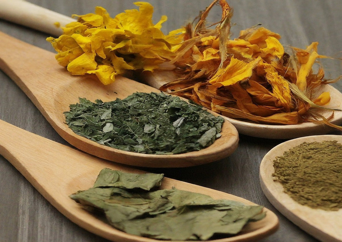 A medicinal herb called Kanna 1