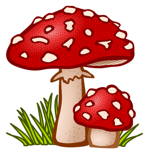 How much religious history was influenced by the consumption of Amanita Muscaria Mushrooms?