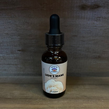 Lion's Mane Tincture