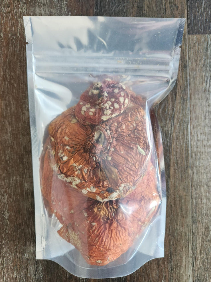 Dried Amanita Muscaria Caps USA