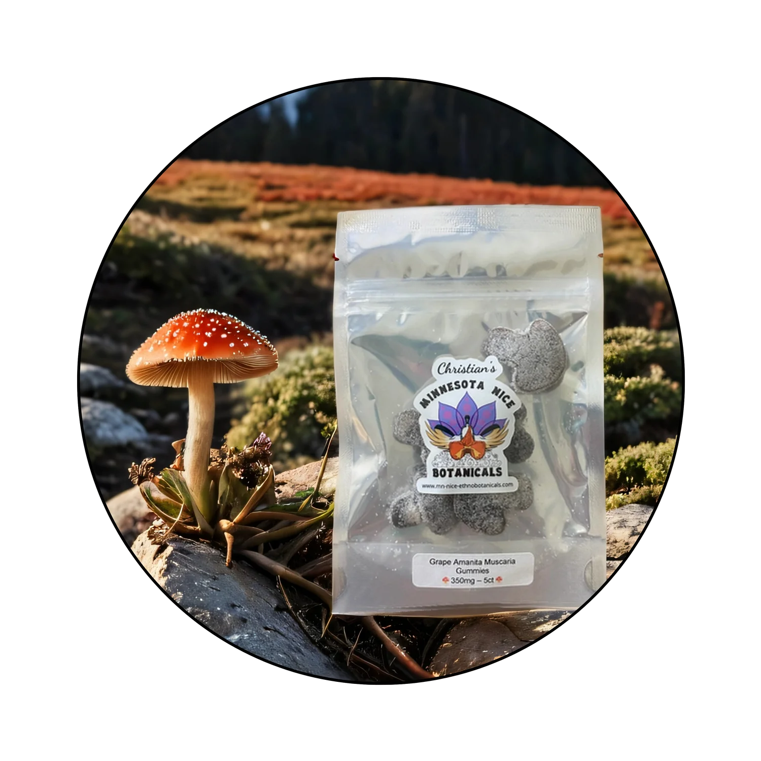 A bag of MN Nice amanita mushrooms for sale