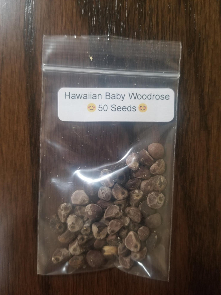Hawaiian Baby Woodrose Seeds - Untreated, Raw and Organic