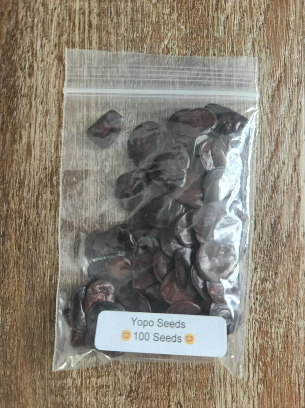 Yopo Seeds - Anadenanthera peregrina